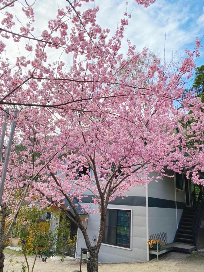 薔薇谷 民宿字108號 Hotel Fuxing  Exterior photo